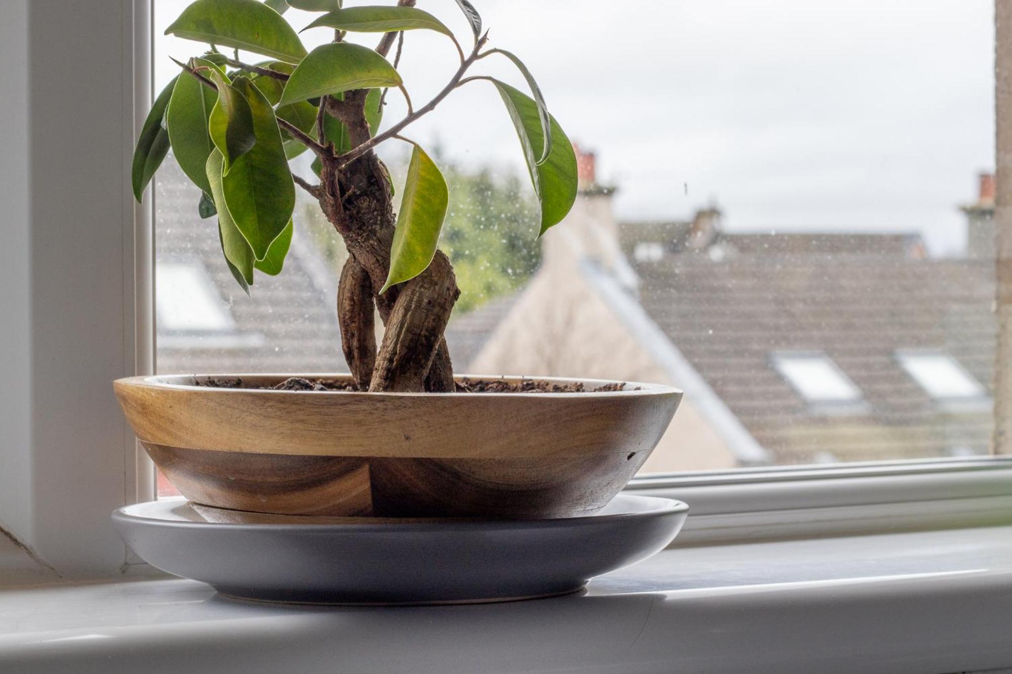 1 Bed Apartment Central Hamilton Free Wifi With Great Transport Links To Glasgow Exterior foto
